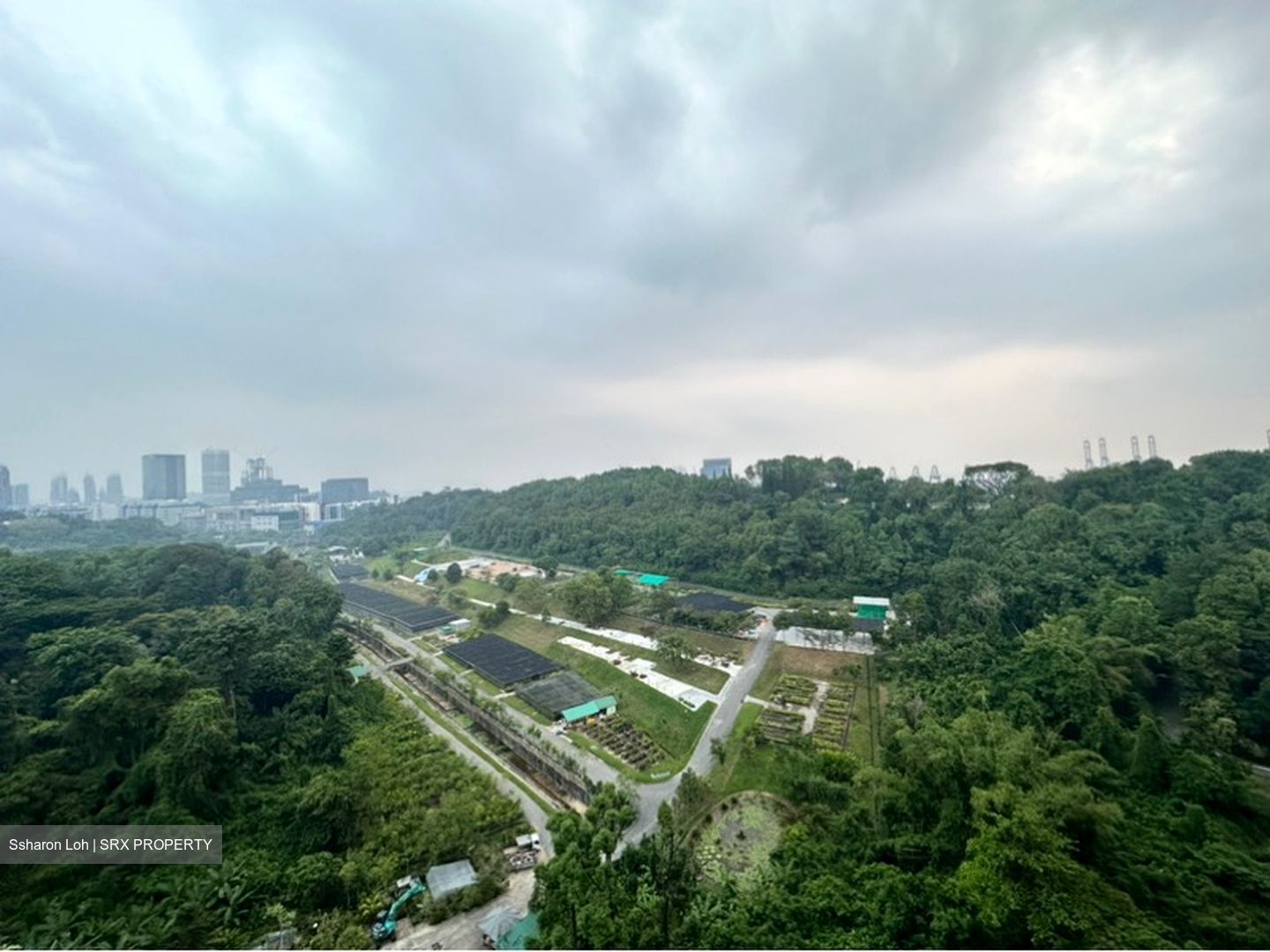 Normanton Park (D5), Apartment #598730481